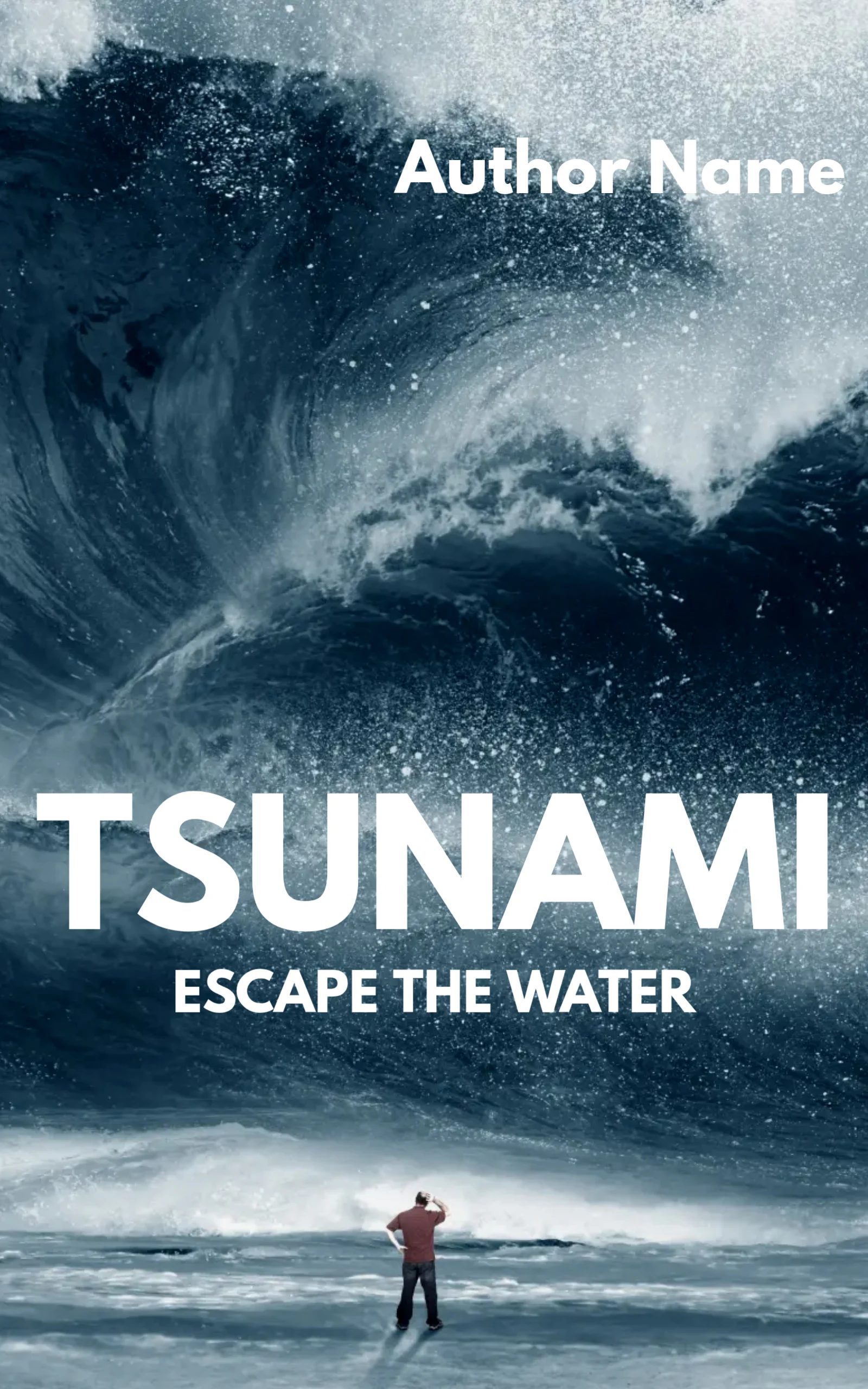 Tsunami Mystery, Thriller & Suspense Book Cover