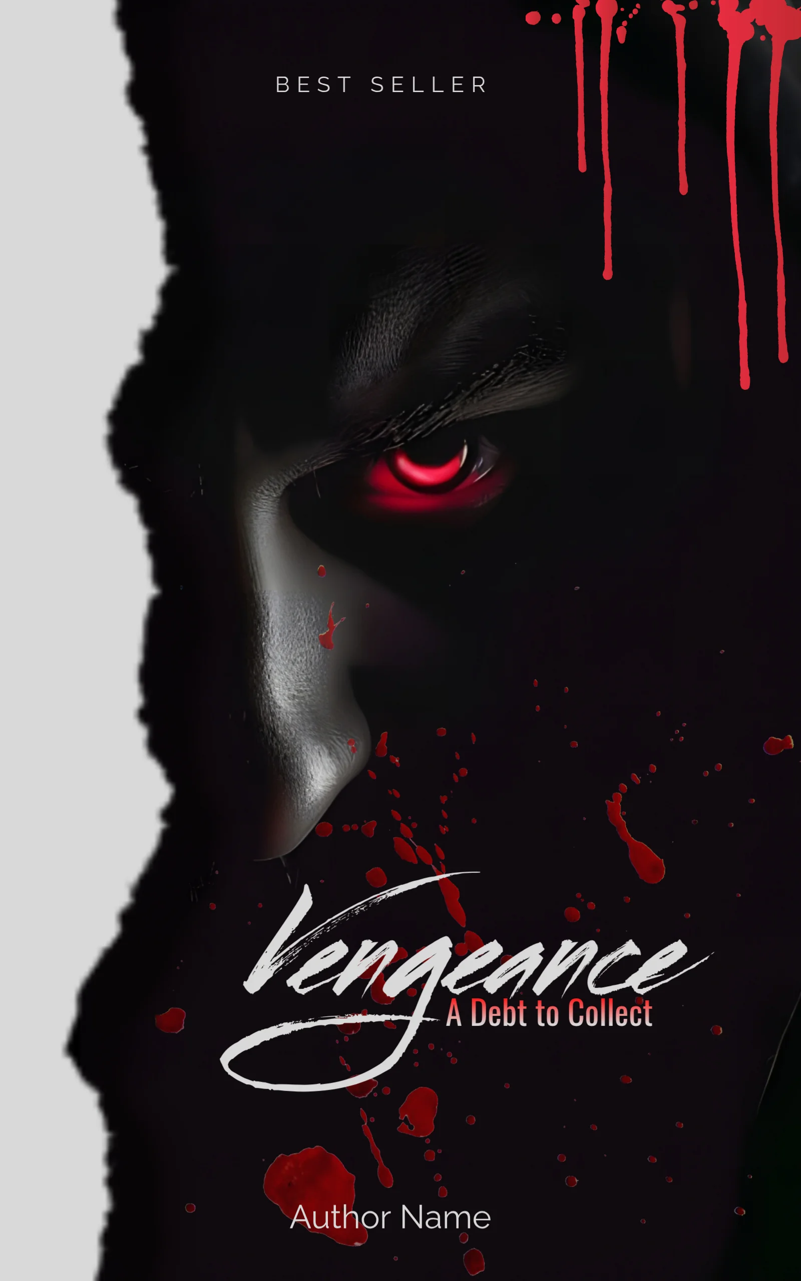 Vengeance Mystery, Thriller & Suspense Book Cover